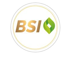 BSI International